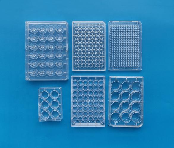 的实验室组织培养板:我们擅长模具制造和定制制造实验室使用塑料产品